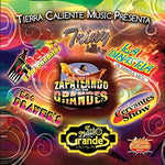 the album cover for Zapateando Con Los Grandes / Var - Zapateando Con Los Grandes / Var