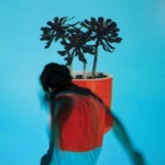 Local Natives - Sunlit Youth (Vinyl)