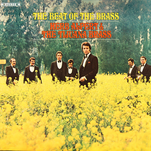 Herb Alpert y Tijuana Brass - El ritmo del metal (CD)