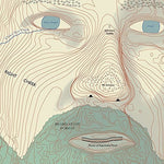 Lawrence Arabia - Absolute Truth (Vinyl)