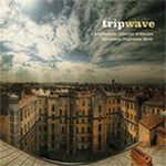 the album cover for Trip Wave A Retrospective Collection Of Russian P - Trip Wave 1 / Various