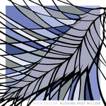 the album cover for Zoulek - Rushing Past Willow