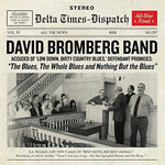 David Bromberg - Blues The Whole Blues And Nothing But (Vinyl)