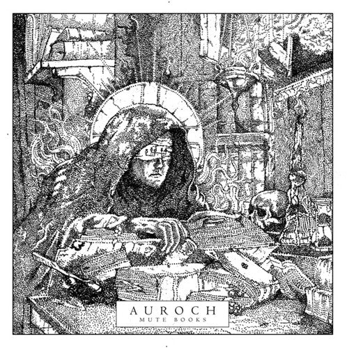 the album cover for Auroch - Mute Books