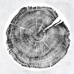 the album cover for Roy Montgomery - M: Darkmotif Dancehall