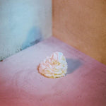 the album cover for All Boy/All Girl - Slagroom