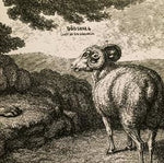 Dodsvarg - Livet Ar En Dodsorsak (Vinyl)