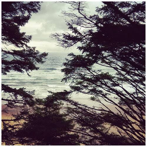 WL - ライト・イヤーズ（ビニール盤）