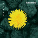 the album cover for Januš - Book of Memory