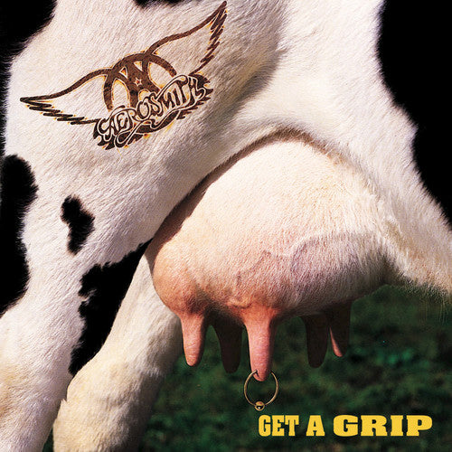 Aerosmith - Get A Grip (Vinilo)