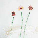 Dot Hacker - N3 (CD)