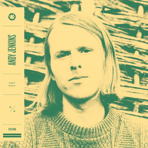 アンディ・ジェンキンス - スウィート・バンチ (レコード)