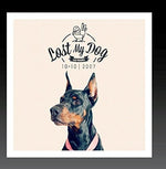 the album cover for Lost My Dog 10x10 2007 / Var - Lost My Dog 10 x 10 - 2007