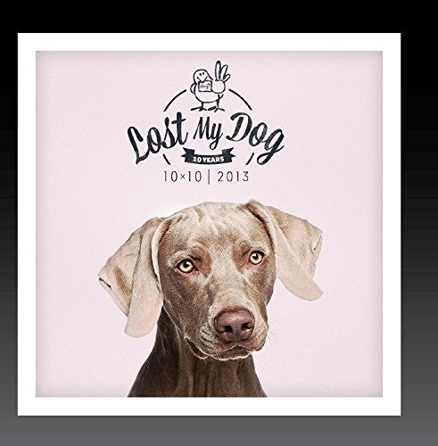 the album cover for Lost My Dog 10x10 2013 / Var - Lost My Dog 10x10 - 2013