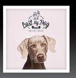 the album cover for Lost My Dog 10x10 2013 / Var - Lost My Dog 10x10 - 2013