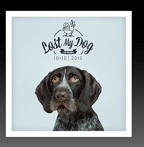 the album cover for Lost My Dog 10x10 2010 / Var - Lost My Dog 10x10 - 2010