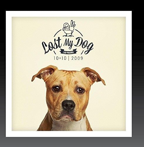 the album cover for Lost My Dog 10x10 2009 / Var - Lost My Dog 10x10 - 2009