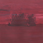 the album cover for The Besnard Lakes - The Besnard Lakes Are The Divine Wind [Limited Edition Vinyl Single]