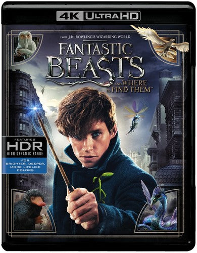 Animales fantásticos y dónde encontrarlos (4K Ultra HD)