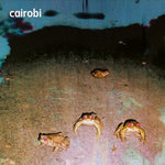 the album cover for Cairobi - Cairobi