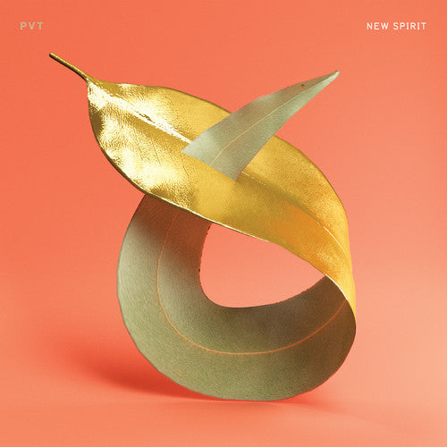the album cover for Pvt - New Spirit