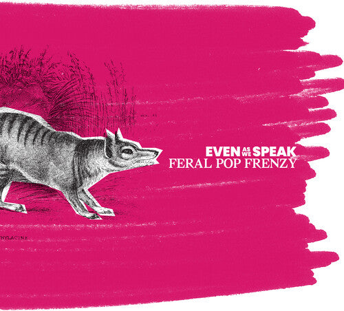 Incluso mientras hablamos - Feral Pop Frenzy (25.ª edición remasterizada) (vinilo)