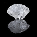 the album cover for Saltland - Common Truth [180 Gram]