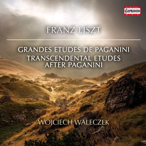 the album cover for Wojciech Waleczek - Transcendental Etudes After Paganini
