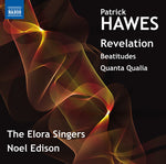 the album cover for Noel Edison - Revelation