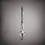 アイゲンリヒト - 自己消滅意識（ビニールレコード）