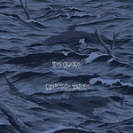 the album cover for The Dodos - Certainty Waves