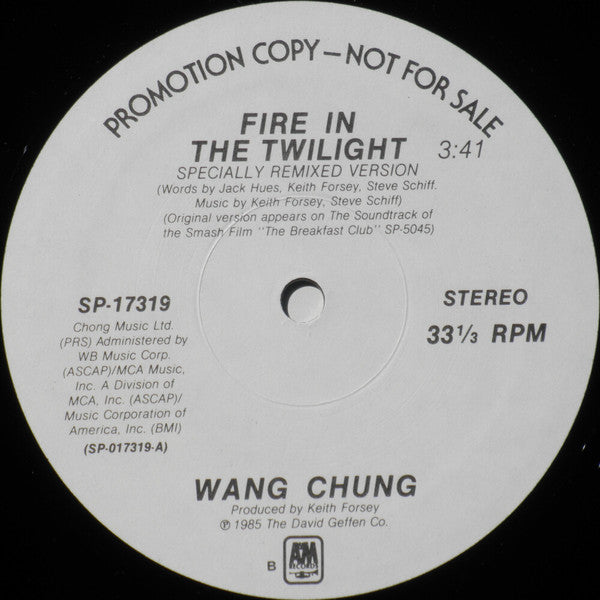 Wang Chung / Joyce Kennedy : Fire In The Twilight / Didn't I Tell You (12", Promo)