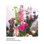 Wicca Phase Springs Eternal - Secret Boy (Vinyl)