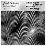 Janek Schaefer - What Light There Is Tells Us Nothing (Vinyl)