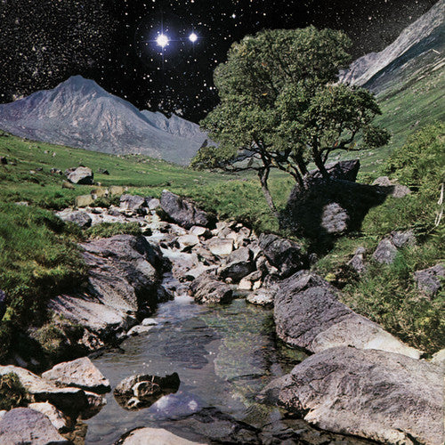 The Beta Band - The Beta Band (Vinyl)