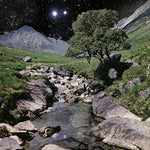 The Beta Band - The Beta Band (Vinyl)