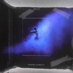 the album cover for Bruce - Sonder Somatic