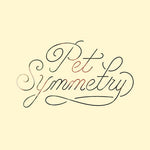 the album cover for Pet Symmetry - Vision