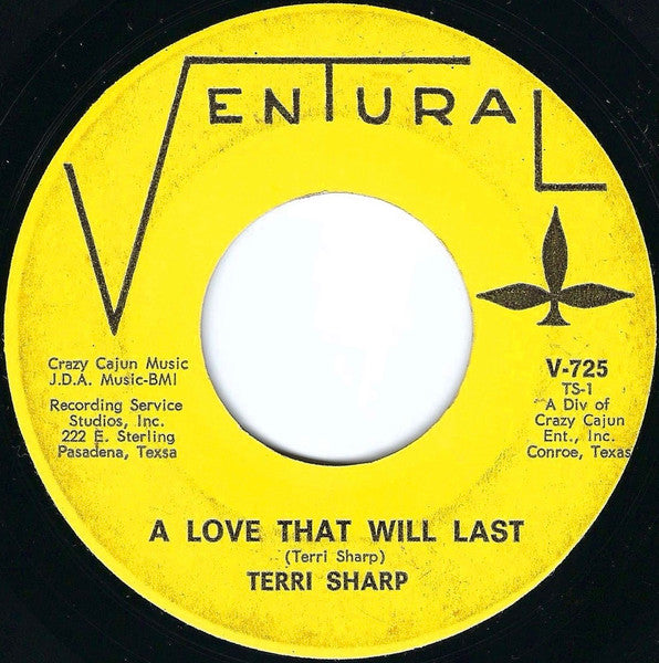 Terri Sharp : A Love That Will Last / I'm Young (7")