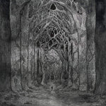 the album cover for Nhor - Within The Darkness Between The Starlight [180 Gram]
