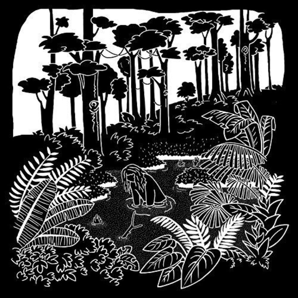 the album cover for Posse - Soft Opening