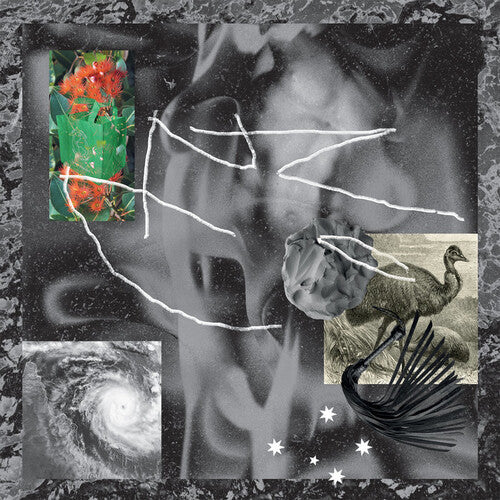 No Zu - Afterlife (Vinilo)