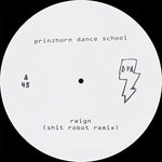 the album cover for Prinzhorn Dance School - REMIXES