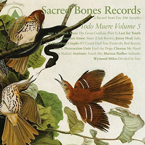Various Artists - TODO MUERE VOL 5 (Various Artists) (Vinyl)