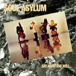 Soul Asylum - Say What You Will...everything Can Happen (Vinyl)