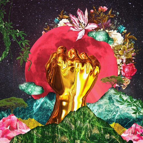 Rina Mushonga - In A Galaxy (Vinyl)