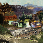 the album cover for Tingsek - Amygdala