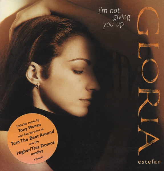 Gloria Estefan : I'm Not Giving You Up (CD, Single, Car)