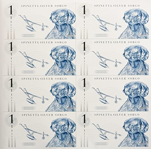 the album cover for Luis Spinetta Alberto - Silver Sogo