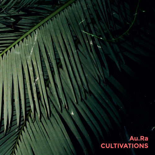 the album cover for Aura - Cultivation